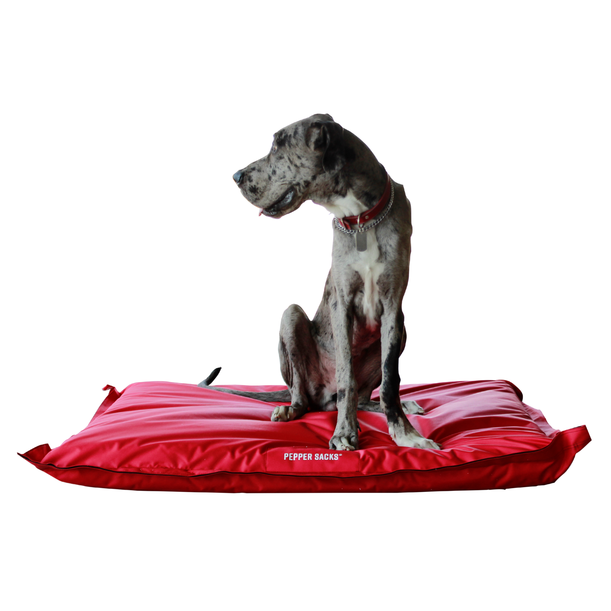 Cama Jack  Doble Extra Grande