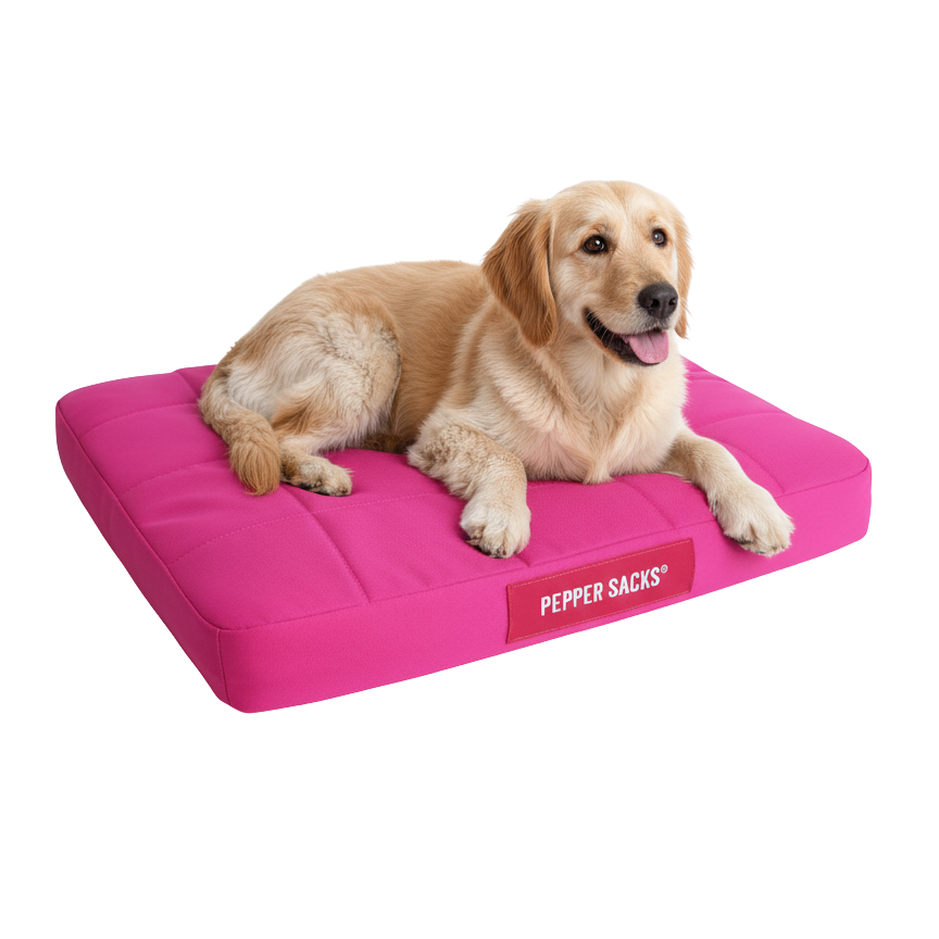 Camita Foster Grande Impermeable Lavable